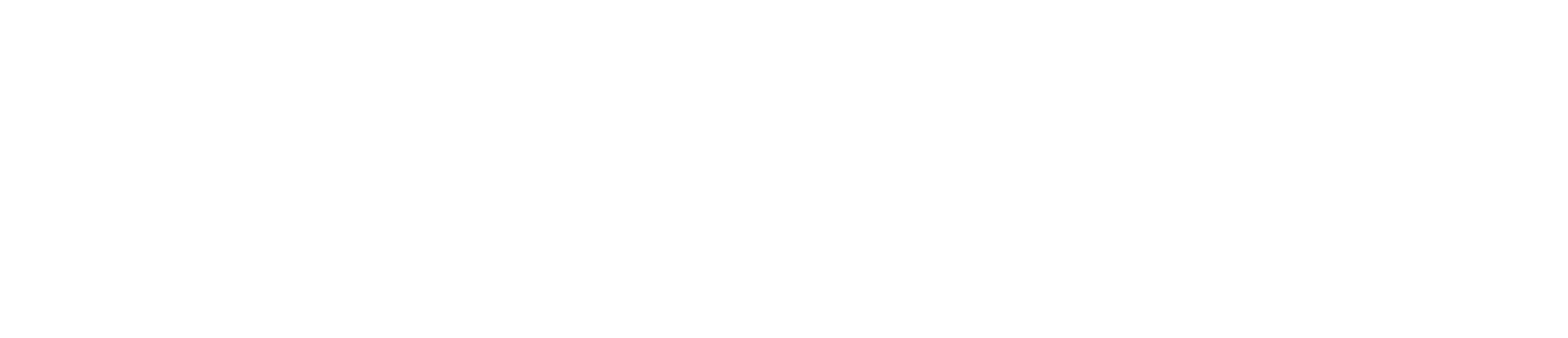Paragon Insurance Holdings logo